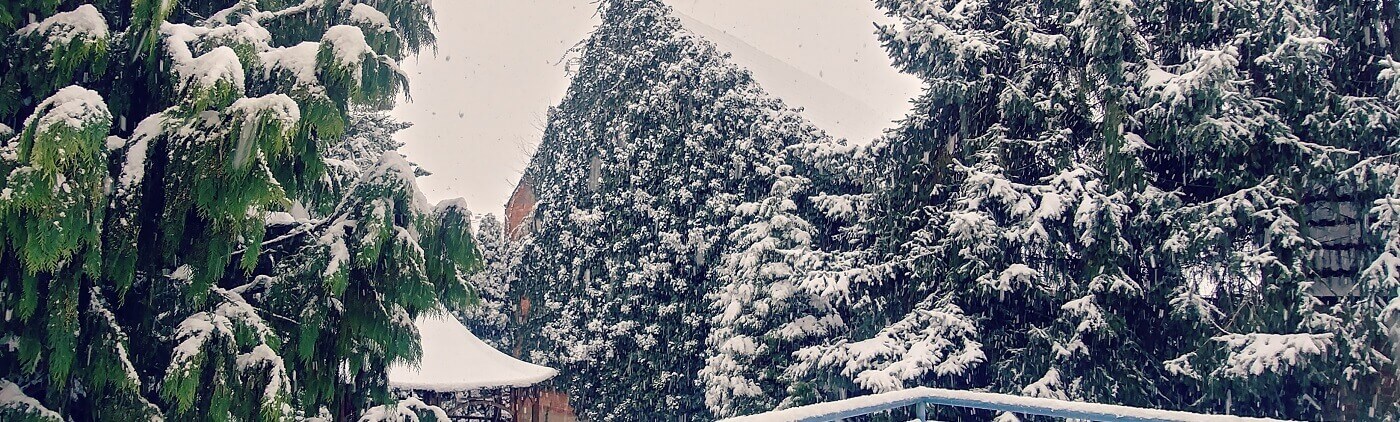 Snow in winter